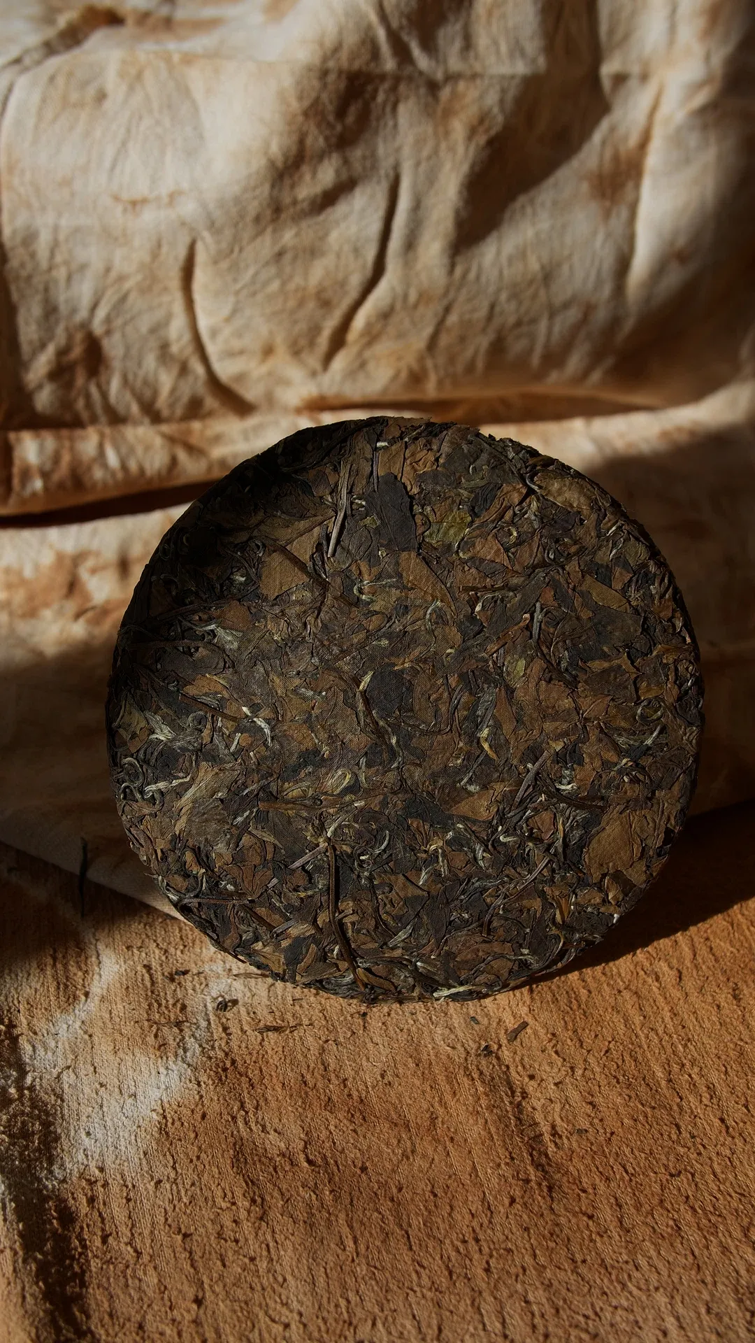 Шоу Мей «Благословення», 2013