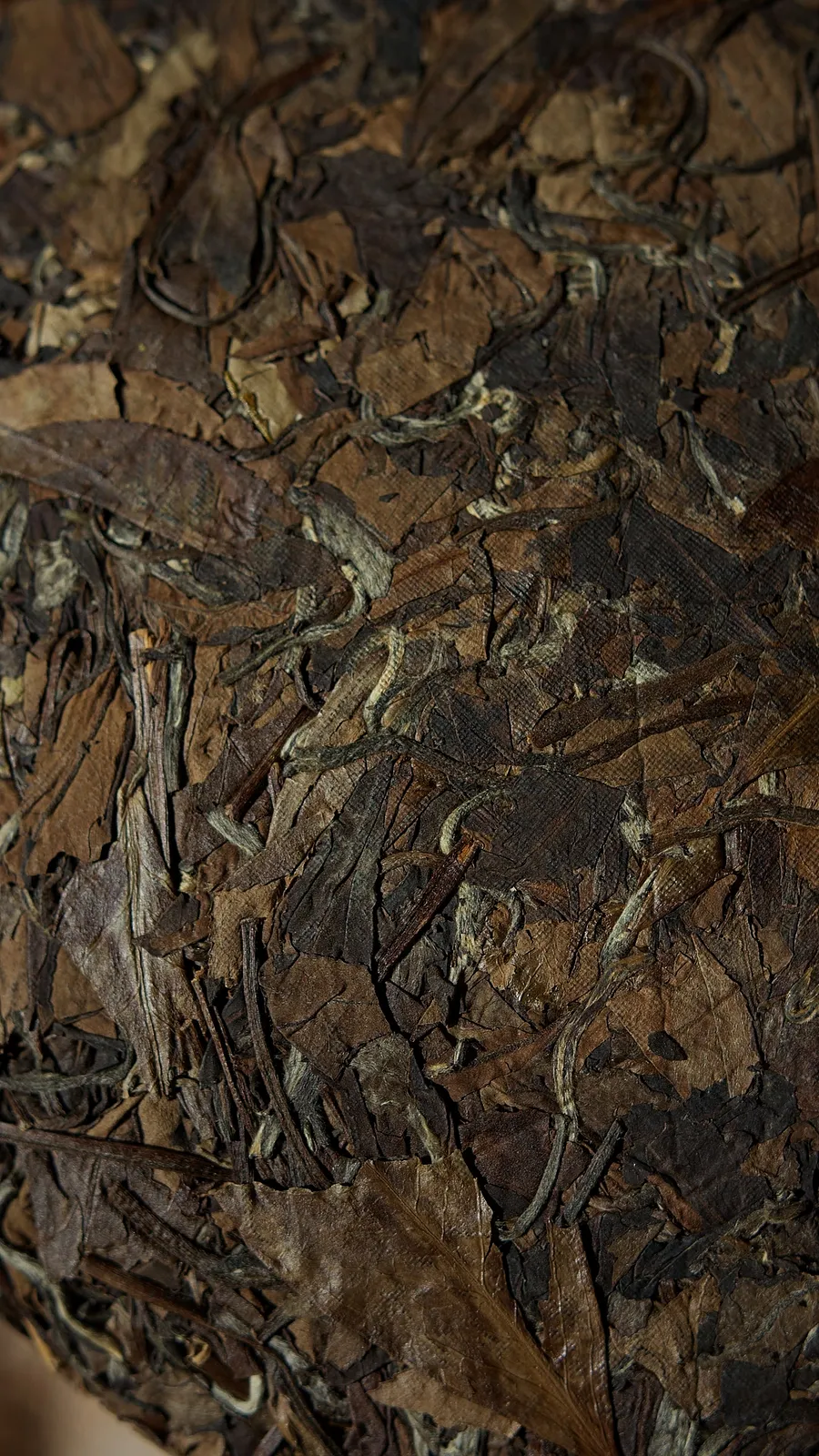 Шоу Мей «Благословення», 2013