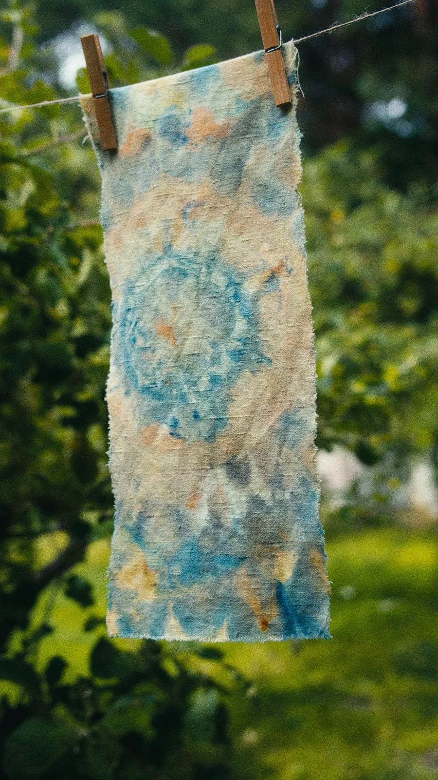 19х50