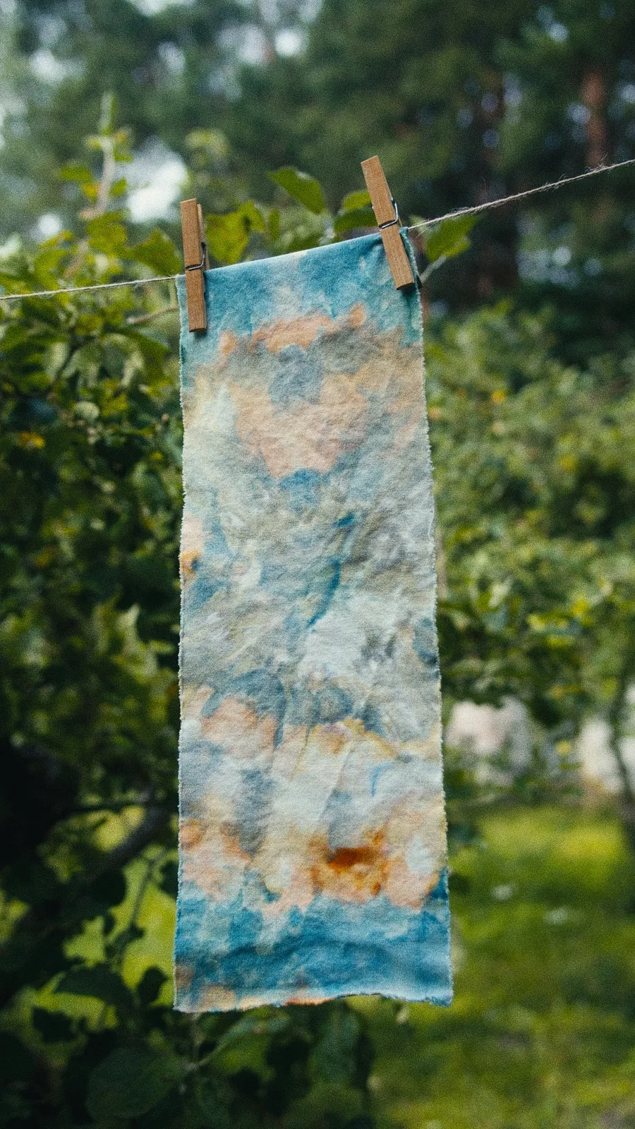 17x50