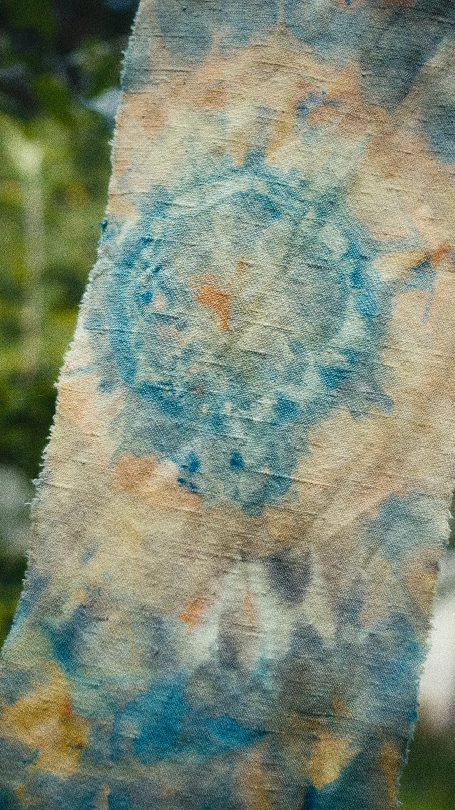 19х50